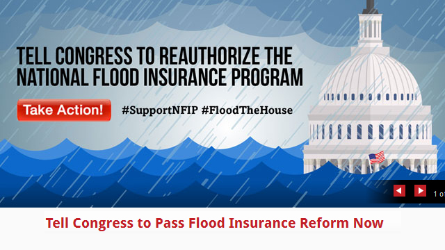 Tell Congress to reauthorize the National Flood Insurance program (NFIP)